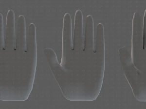 hand model 3D Model