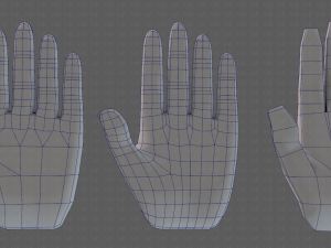 hand model 3D Model
