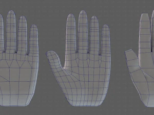 hand model 3D Model