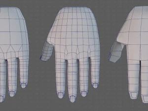 hand model 3D Model