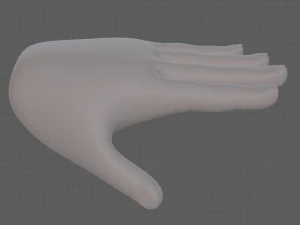 hand model 3D Model