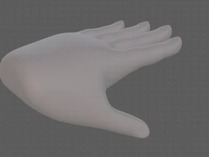 hand model 3D Model