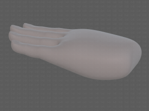 hand model 3D Model