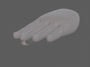 hand model 3D Model