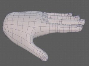 hand model 3D Model