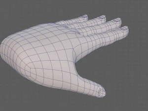 hand model 3D Model