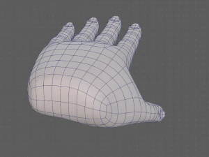 hand model 3D Model
