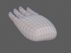 hand model 3D Model