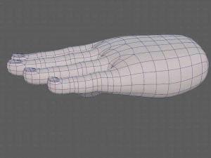 hand model 3D Model