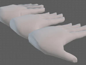 hand model 3D Model
