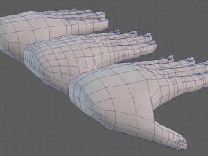 hand model 3D Model