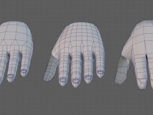 hand model 3D Model