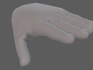 hand model 3D Model