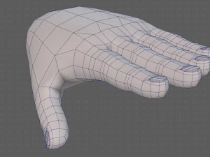 hand model 3D Model