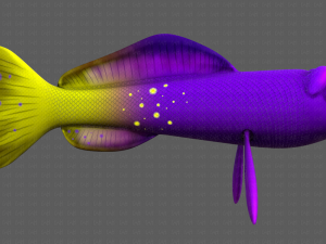 fish v07 3D Model