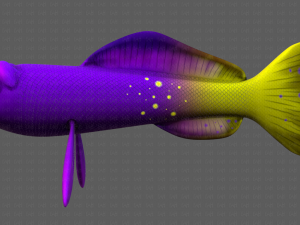 fish v07 3D Model