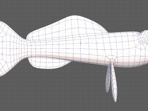 fish v07 3D Model