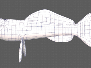 fish v07 3D Model