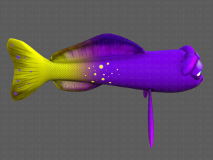 fish v07 3D Model