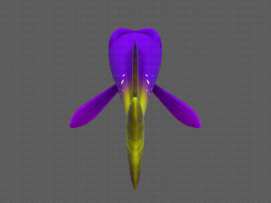 fish v07 3D Model