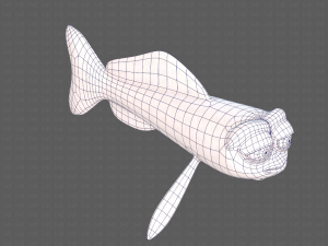 fish v07 3D Model