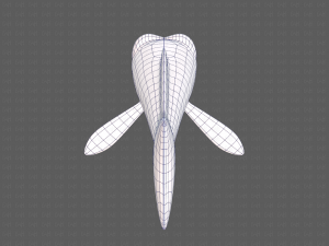 fish v07 3D Model