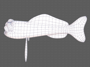 fish v07 3D Model