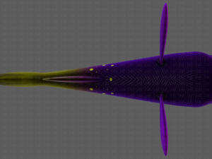 fish v07 3D Model