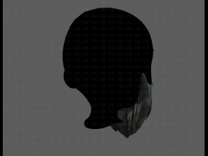 beard v01 3D Model