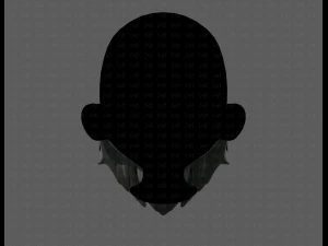 beard v01 3D Model