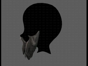 beard v01 3D Model