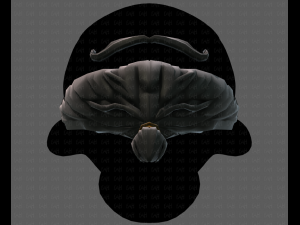 beard v02 Modèle 3D