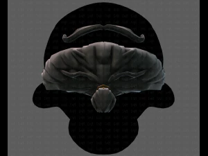 beard v02 3D Model