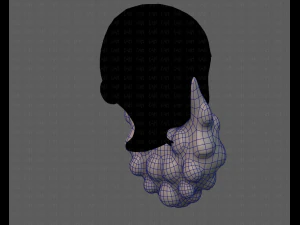 beard v03 3D Model