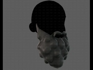 beard v03 3D Model
