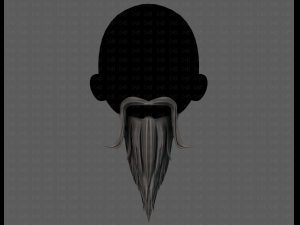 beard v05 3D 모델
