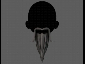 beard v05 3D Model