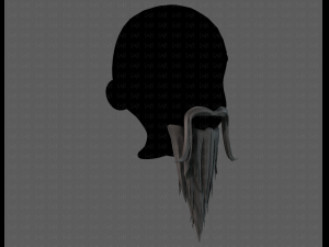 beard v05 3D 모델