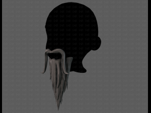 beard v05 3D 모델