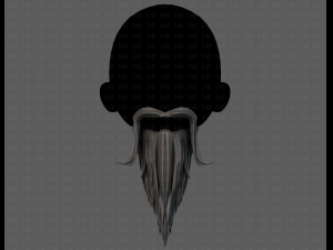 beard v05 3D 모델