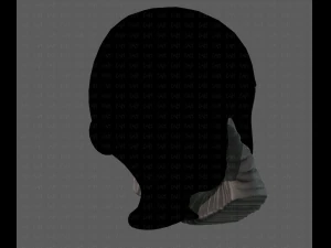 beard v06 3D Model