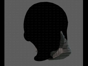 beard v06 3D Model