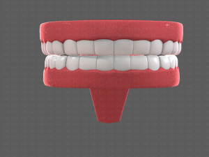 teeth cartoon 3D मॉडल