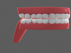 teeth cartoon 3D मॉडल