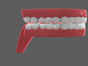 cartone animato di denti Modello 3D