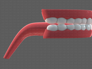 teeth cartoon 3D मॉडल