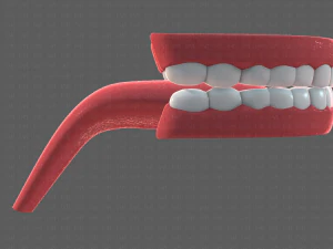 cartone animato di denti Modello 3D