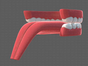 cartone animato di denti Modello 3D