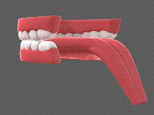 cartone animato di denti Modello 3D