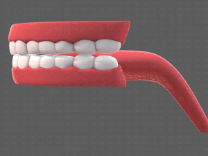 cartone animato di denti Modello 3D